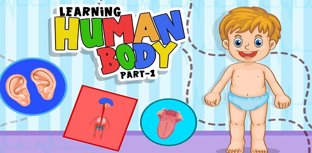 Learning-Human-Body-Part-kids-android-apps
