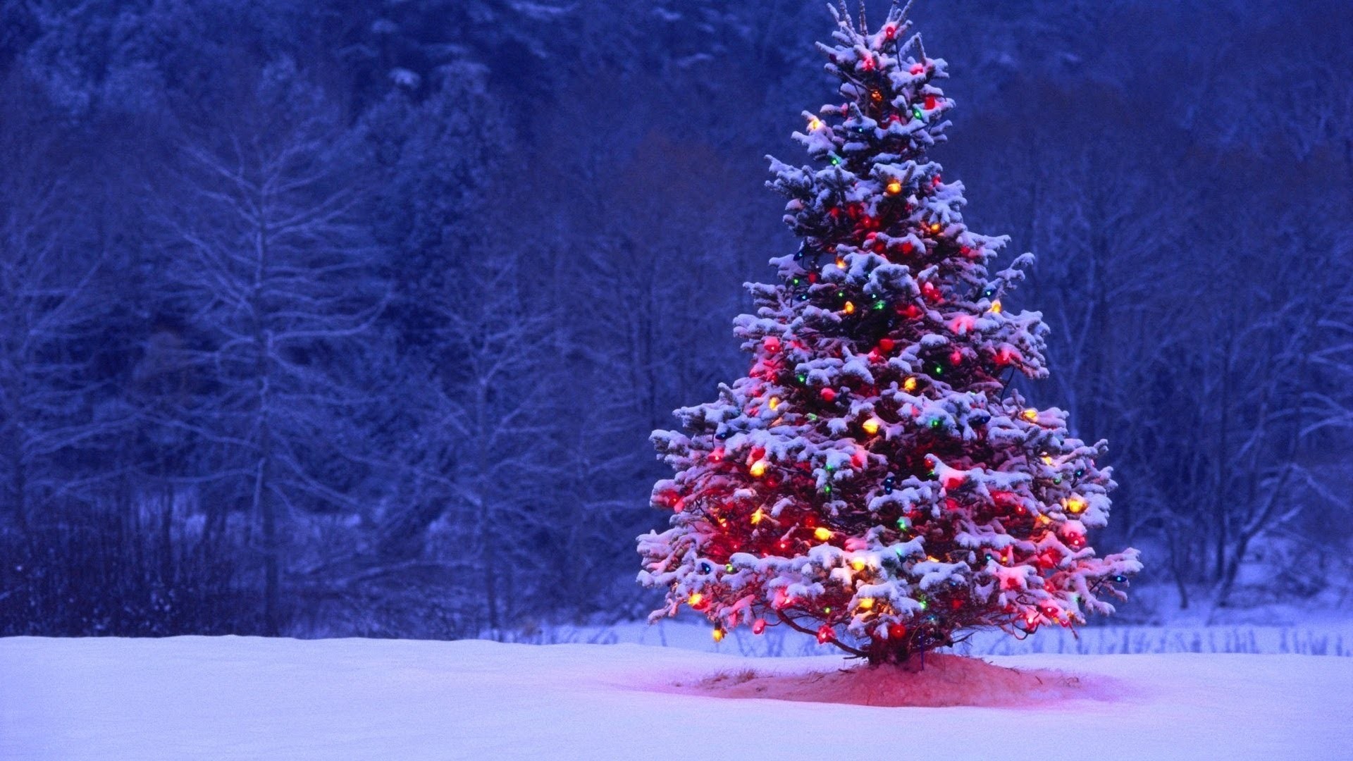 Christmas Tree Decorated Images - Free Download 