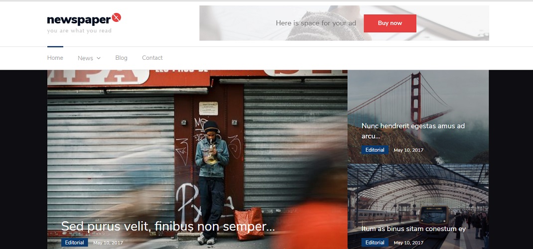 Newspaper-x-best-free-wordress-photography-theme