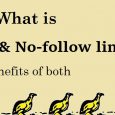 do-follow-and-no-follow-link