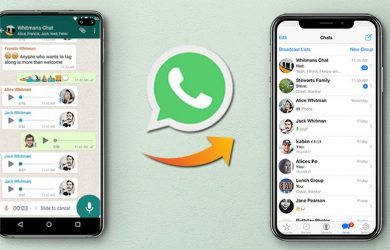 Data Transfer of WhatsApp from Android to iPhone