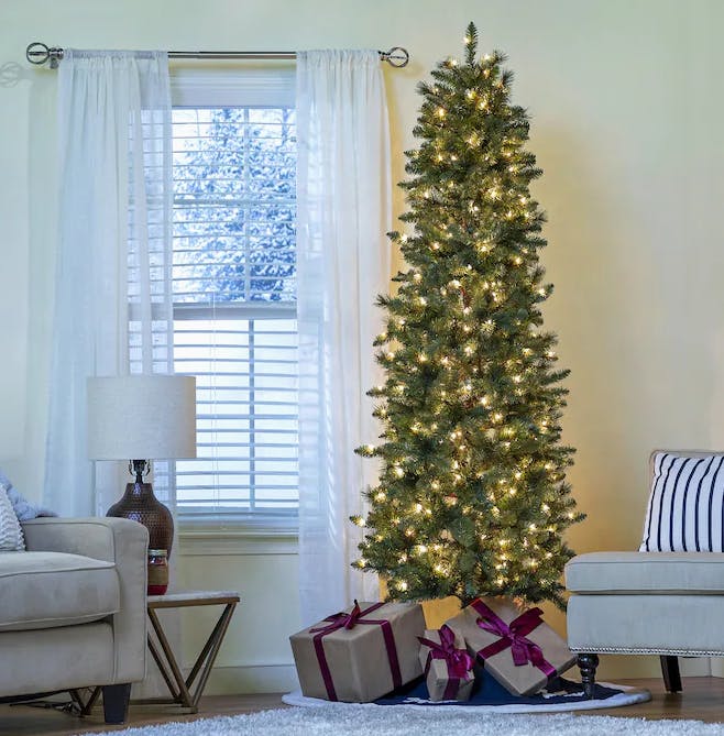 Pencil Christmas trees pre-lit with Fraser fir needles